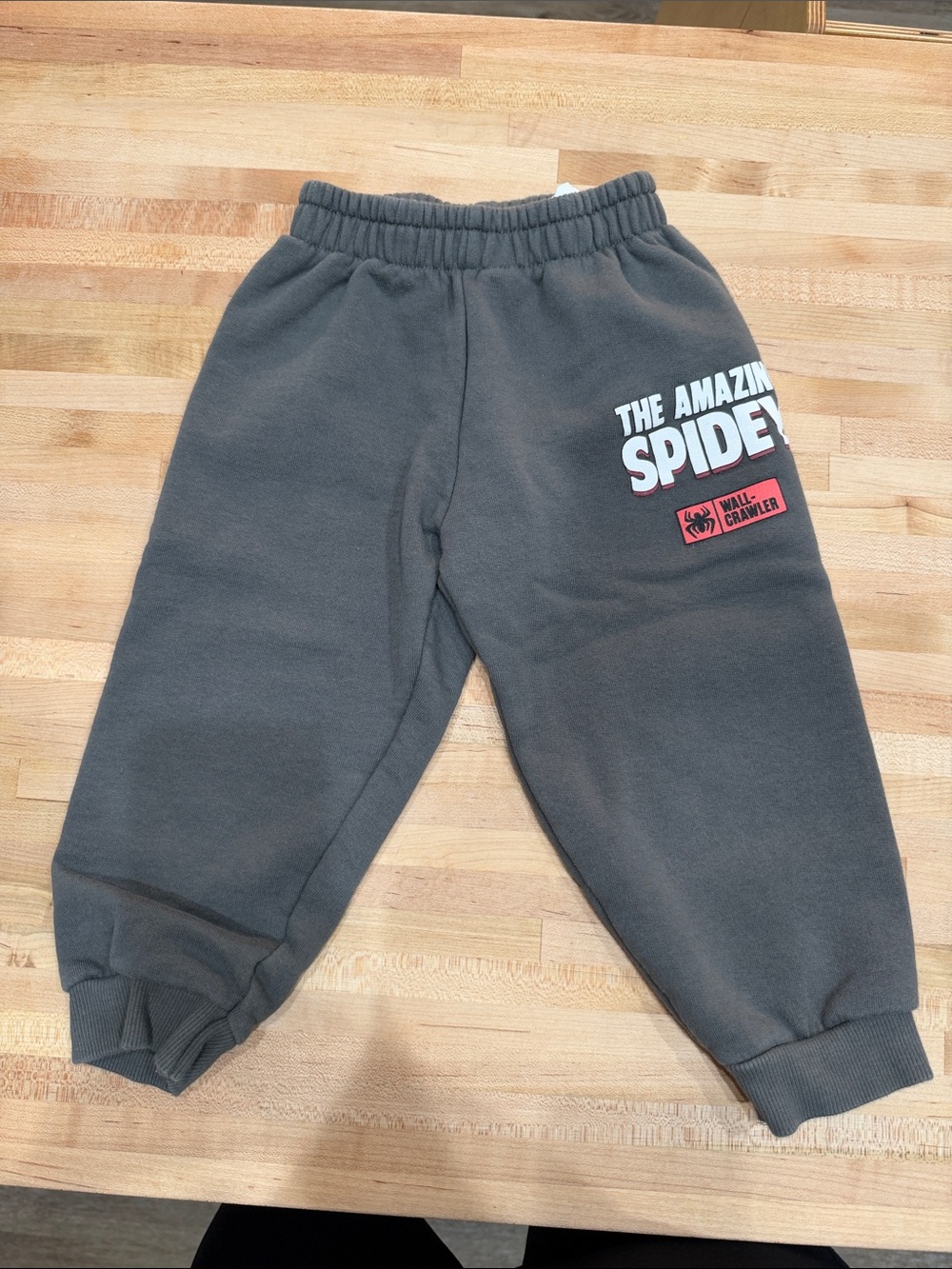 Zara Spidey Sweat Pants